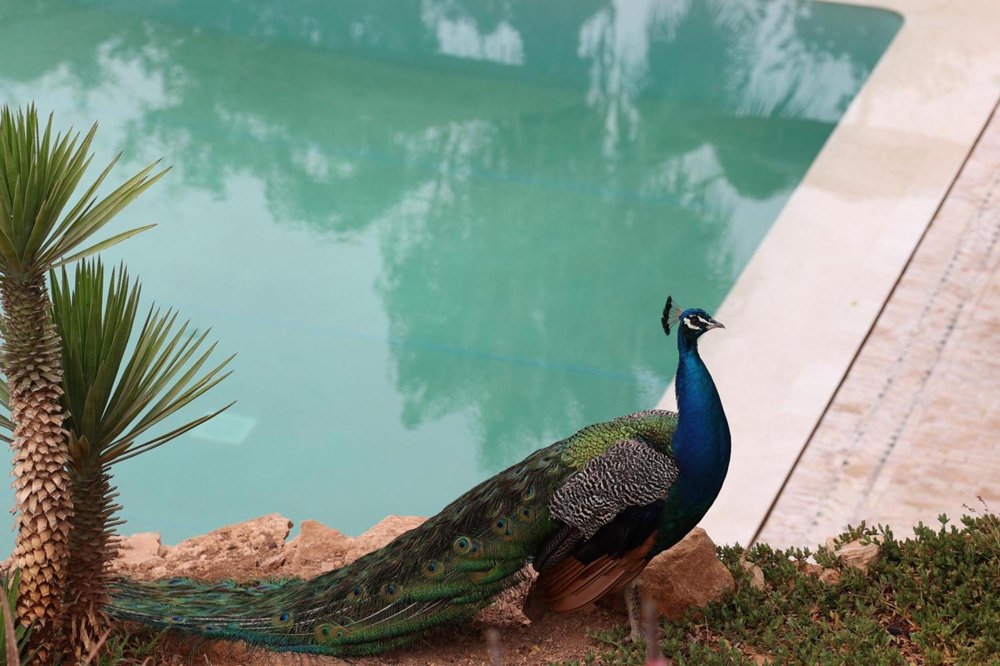 Paradis Nomade Azrarag Exteriör bild